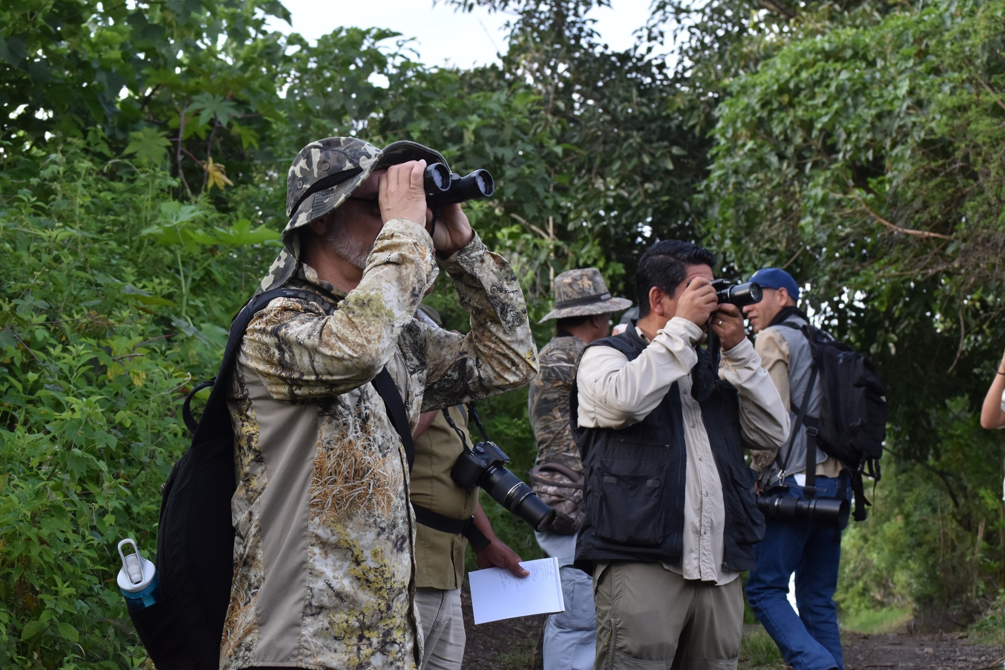 This image for Image Layouts addon