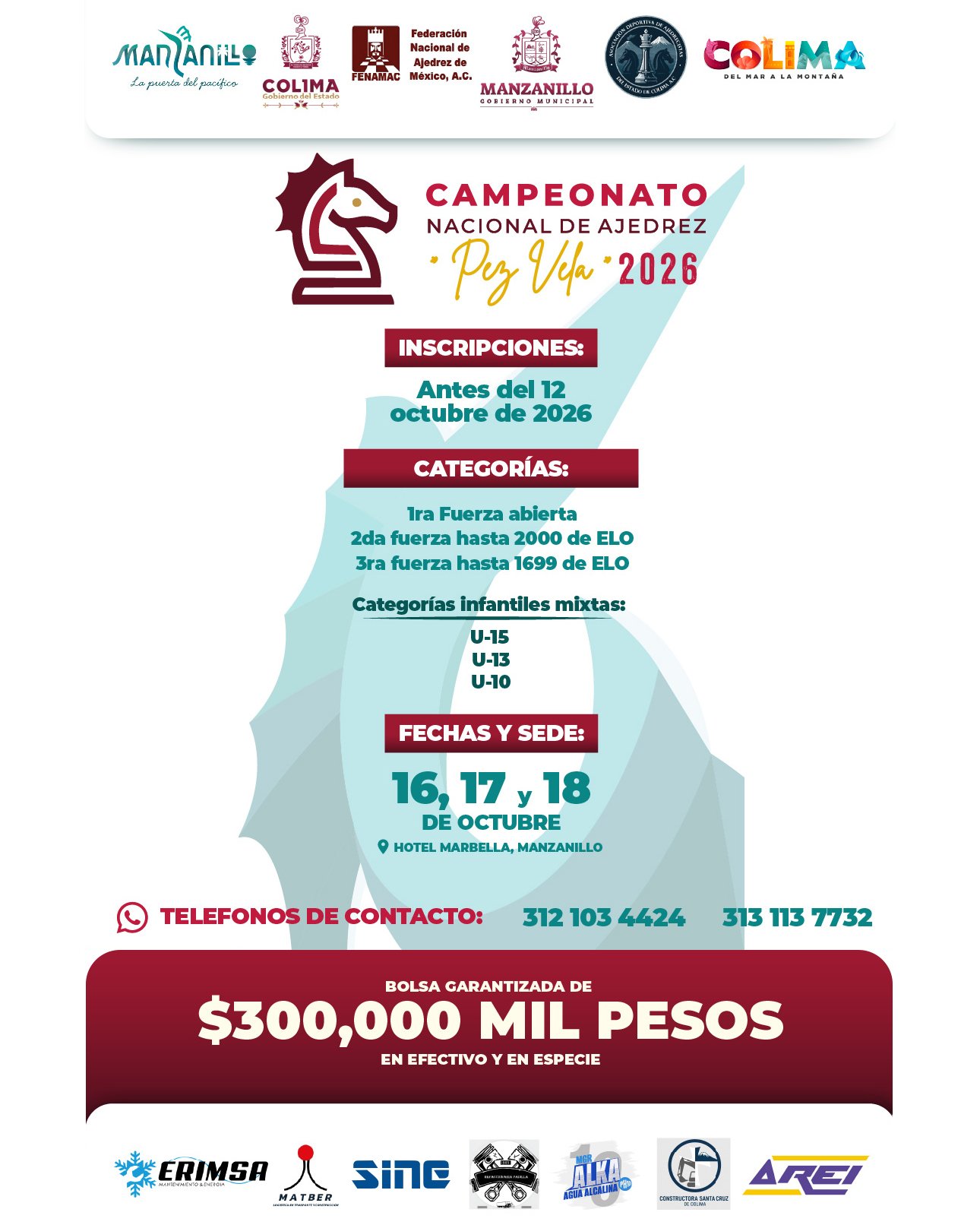 Cartel oficial Image