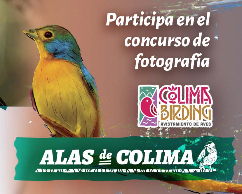 Participa en 